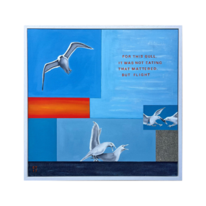 Seagull (Flight Matters)